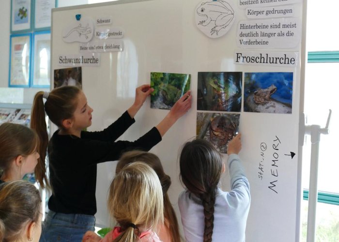 Amphibienwerkstatt