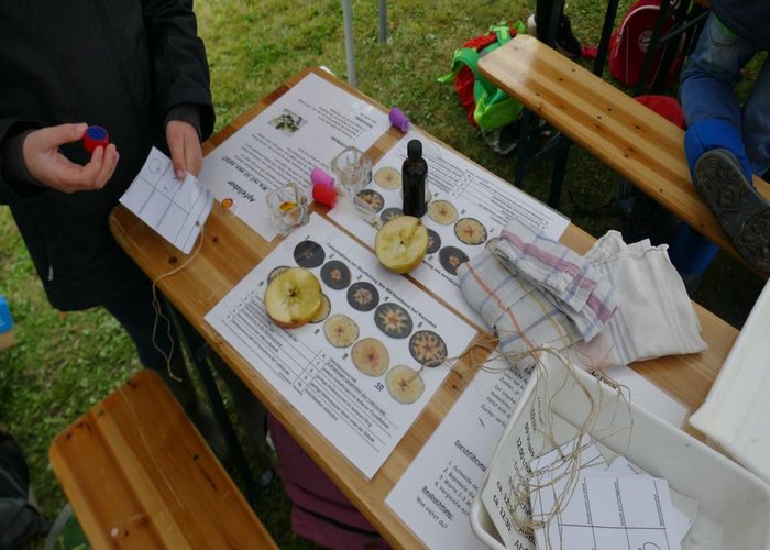 Apfellabor beim Streuobstwiesenaktionstag