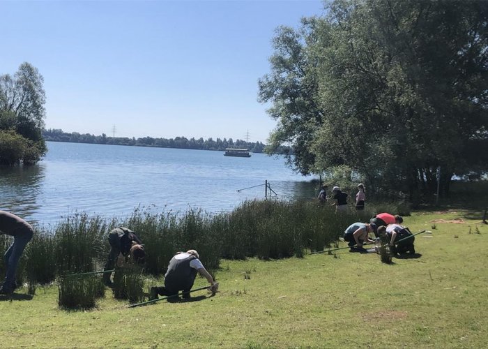 Beobachtung von Wassertieren am Reeser Meer Süd