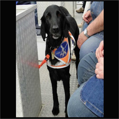 Blindenführhund an Bord der Wilden Gans