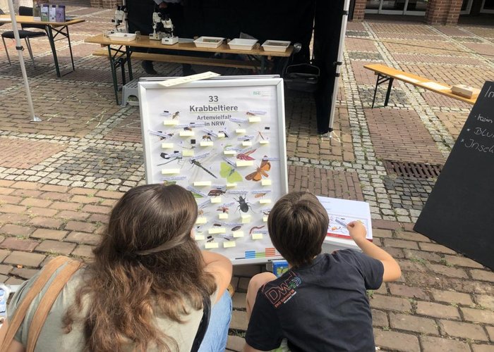 Insektenraten beim Nachhaltigkeitsmarkt Rees