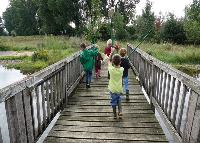 Jungen mit Keschern auf der Teichbrücke