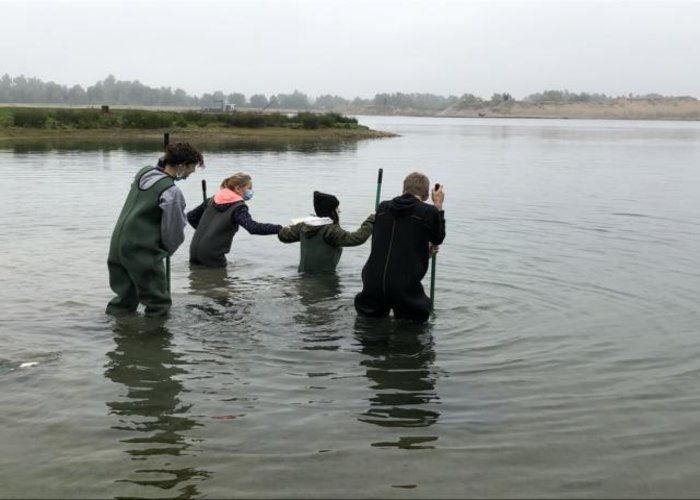 Keschern am Reeser Meer