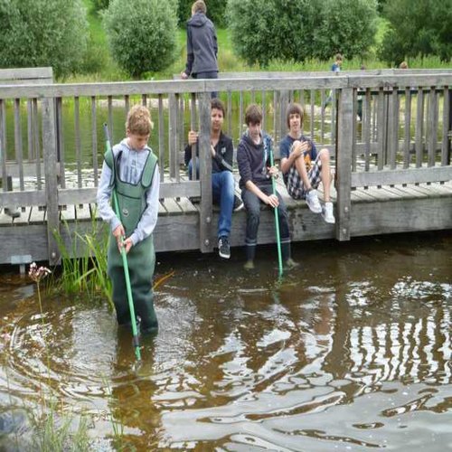 Keschern am Teich