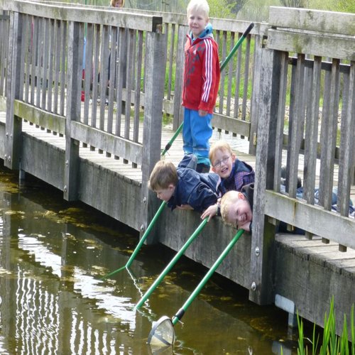 Keschern im Hofteich