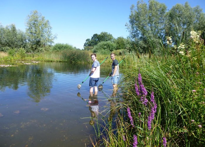Keschern im Teich