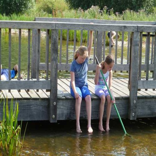 Keschern von der Teichbrücke