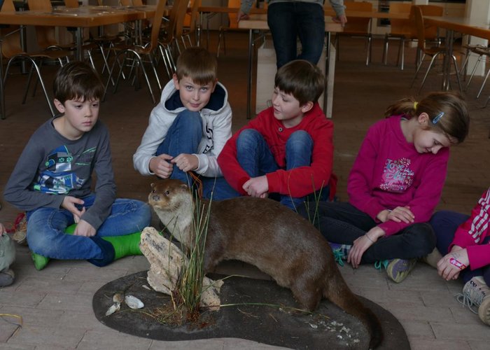 Kindergruppe Die Weltentdecker mit Fischotter