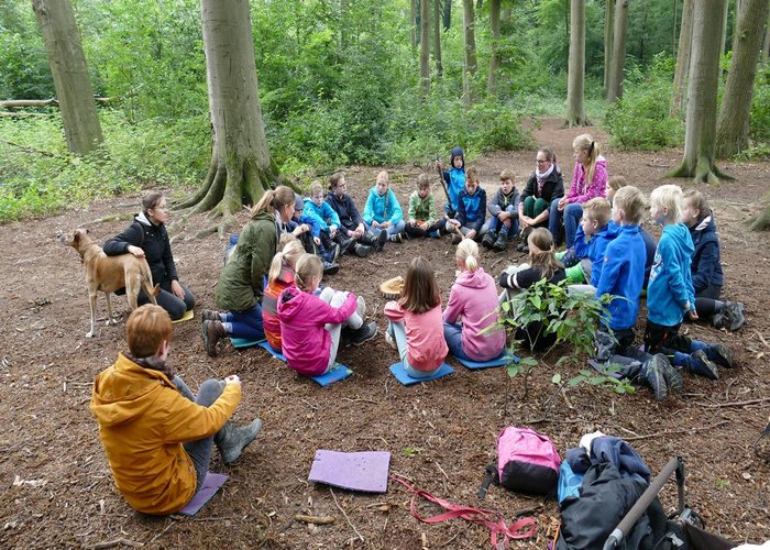 Klimaaktionstag im Wald