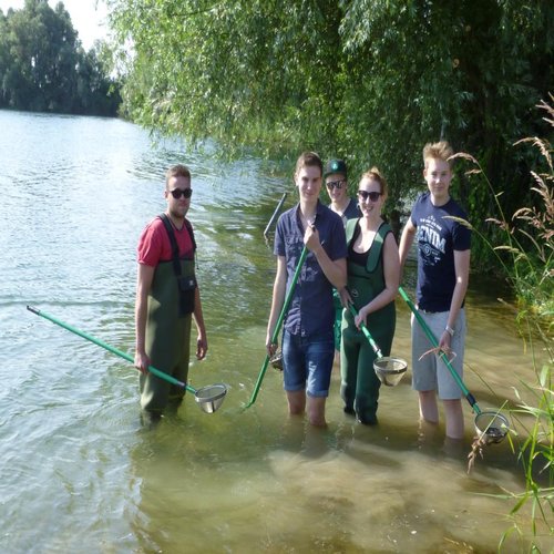 Mit Wathose und Kescher im Reeser Meer Nord
