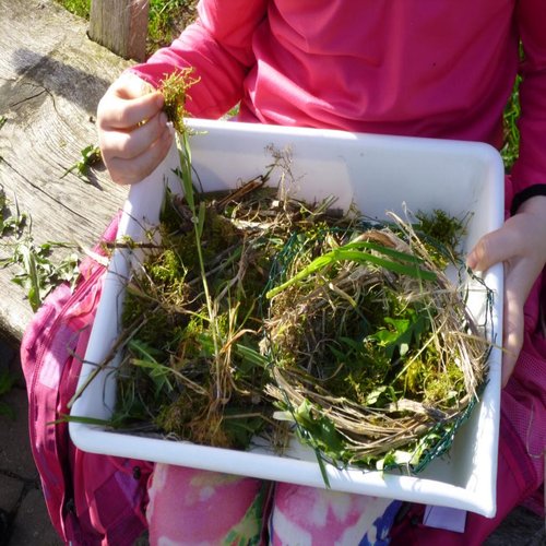 Selbst gebasteltes Vogelnest