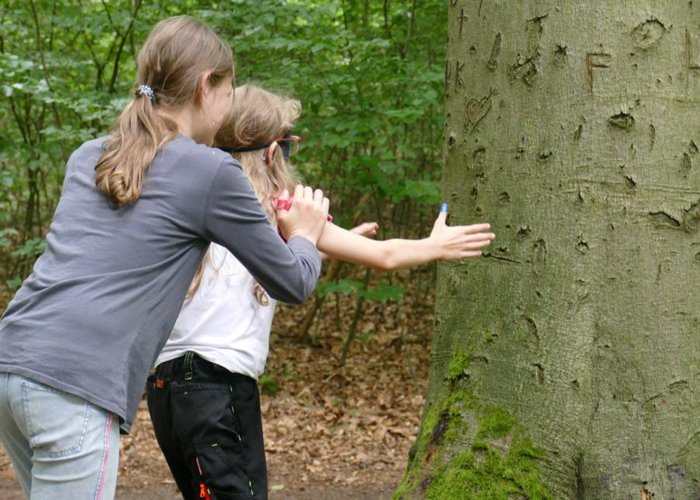 Sinneserfahrung im Wald