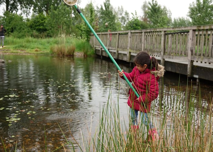 Tümpeln macht auch kleinen Kindern Spaß