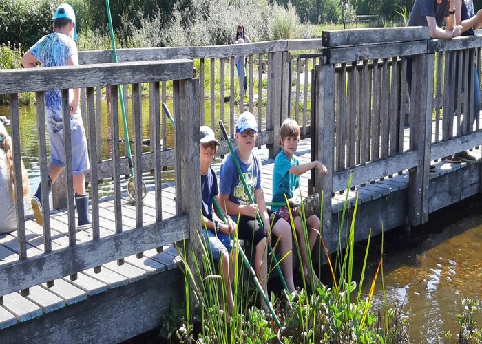 Teichbeobachtung von der Brücke