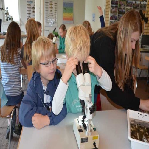 Tierbeobachtung mit der Stereolupe