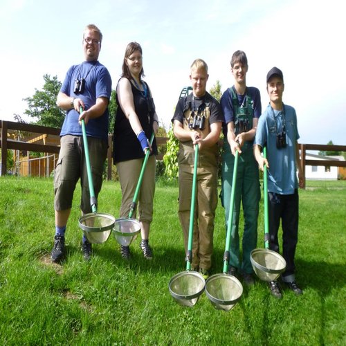 Umweltassistenten mit Keschern