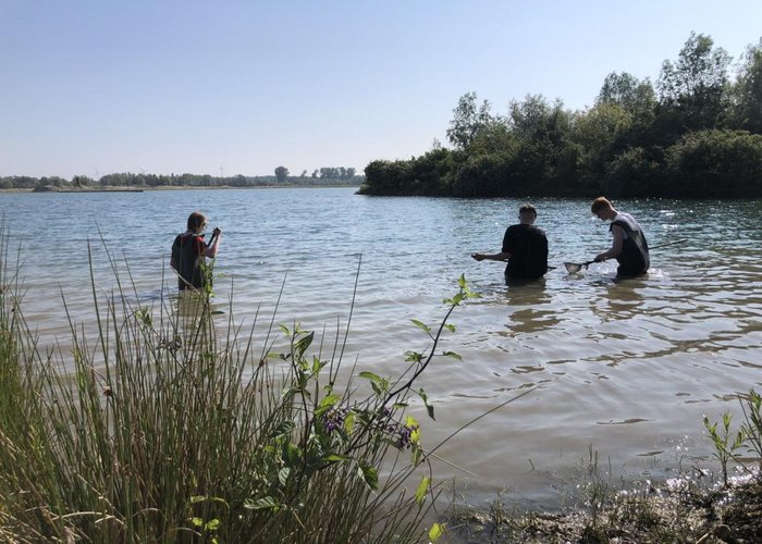 Untersuchung Baggersee Reeser Meer