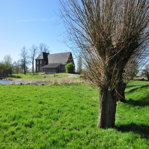 Wahrsmannshof und Kopfweide
