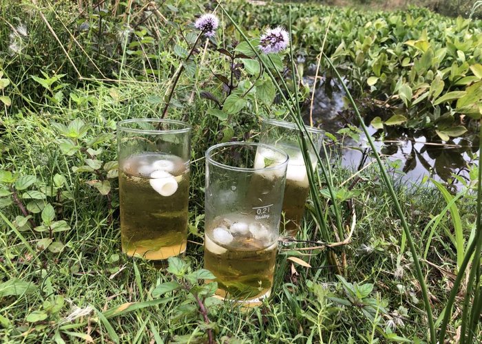 Wasserminzencocktail